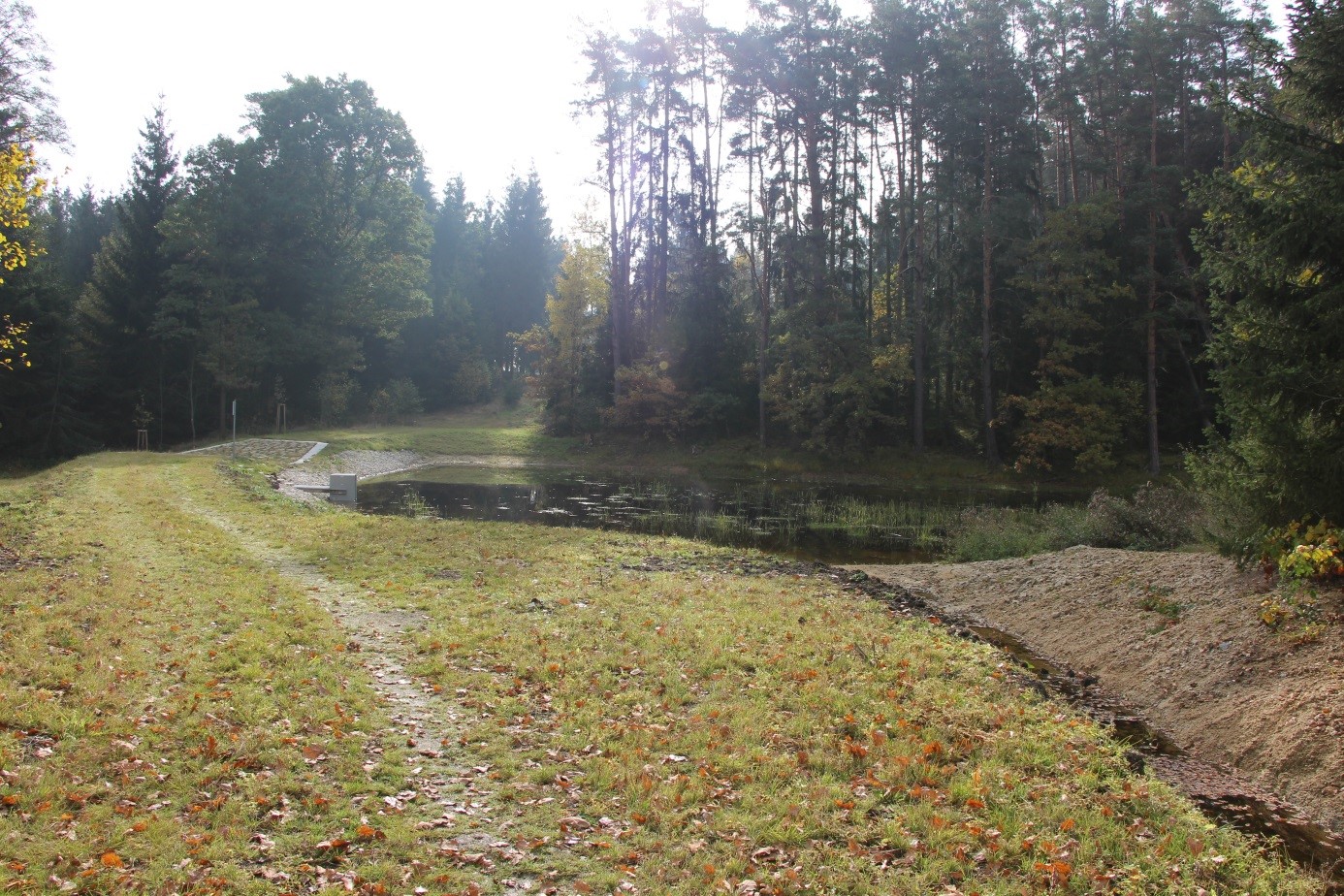 Revitalizace PR U Sedmi ryvníků, foto: Barbora Maršálková