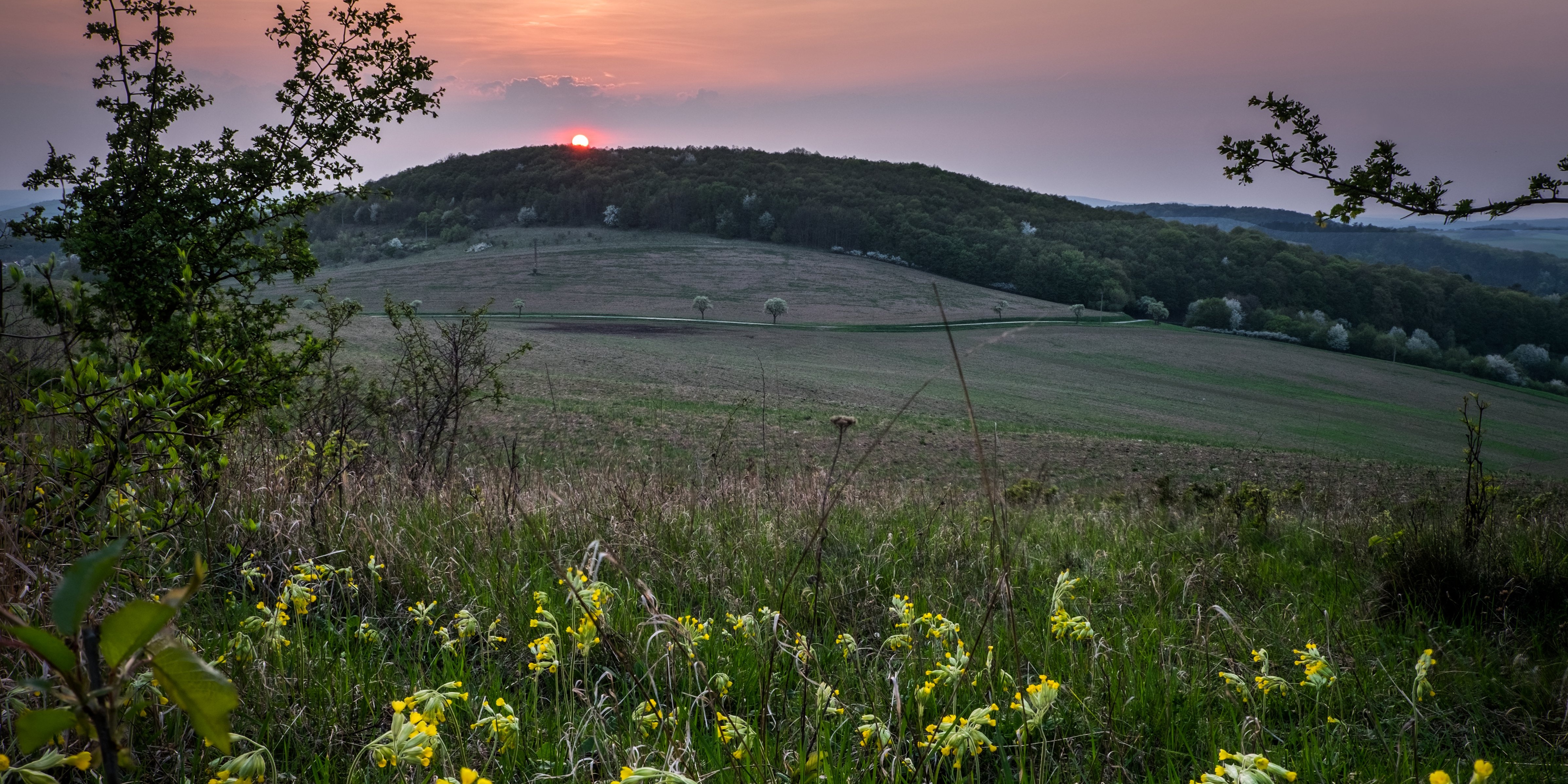 Bacín, nejvyšší vrchol Českého Krasu.