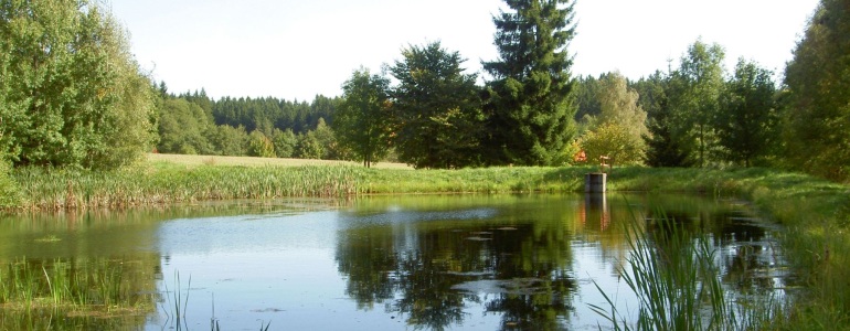 Rybníček Kuře s okolí krajinou.