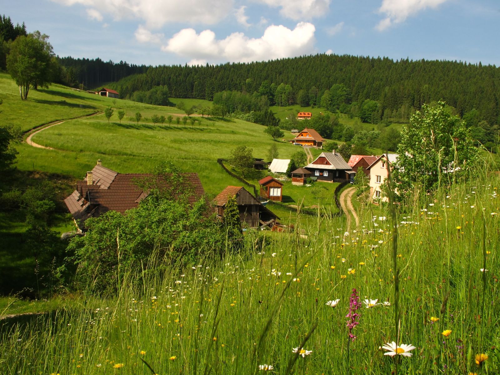 Krajina CHKO Beskydy.