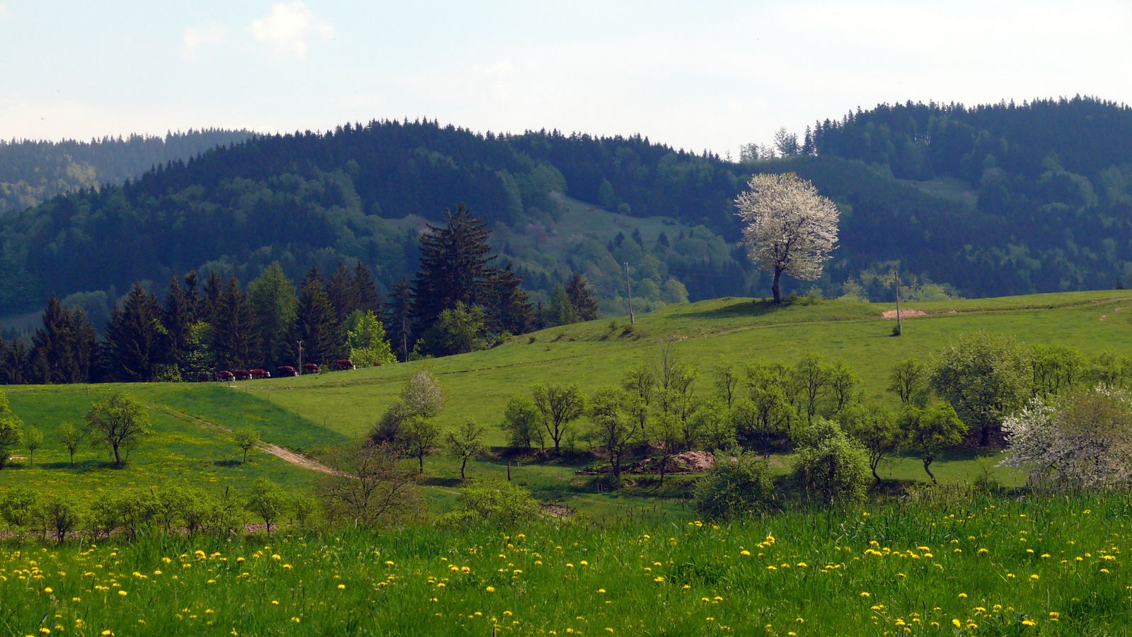 Krajina CHKO Beskydy.