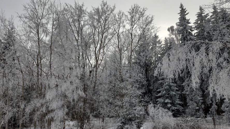 Zasněžená krajina Brd.