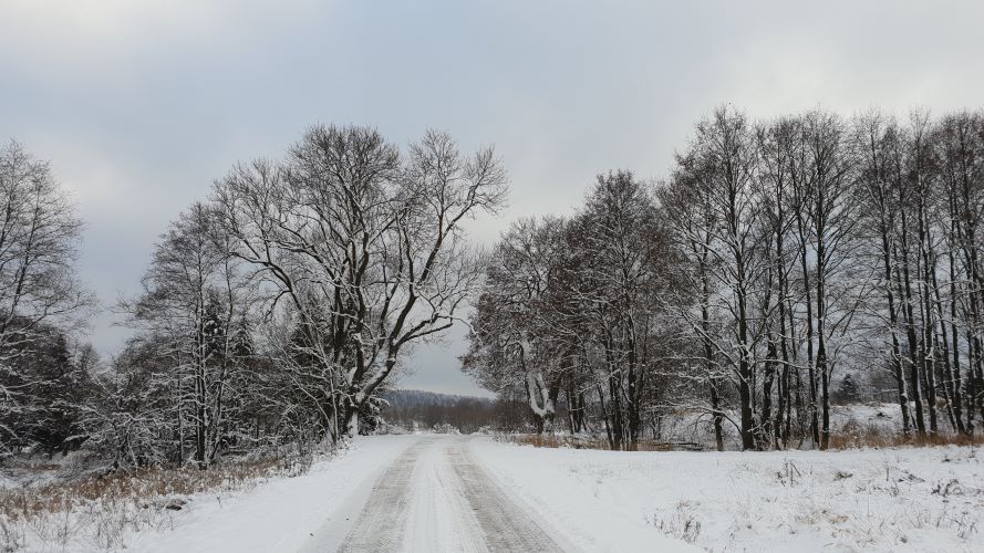 Na Padrti.