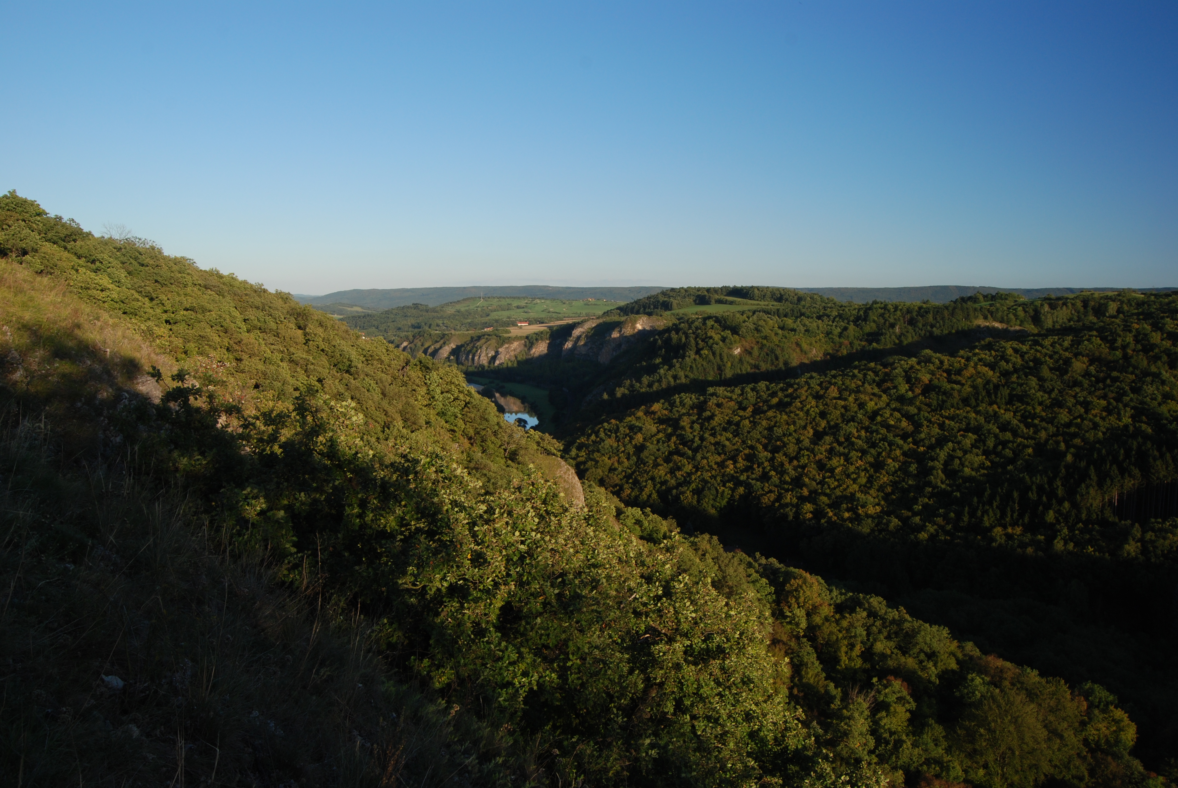 Výhled na zalesněnou část NPR Karlštejn.