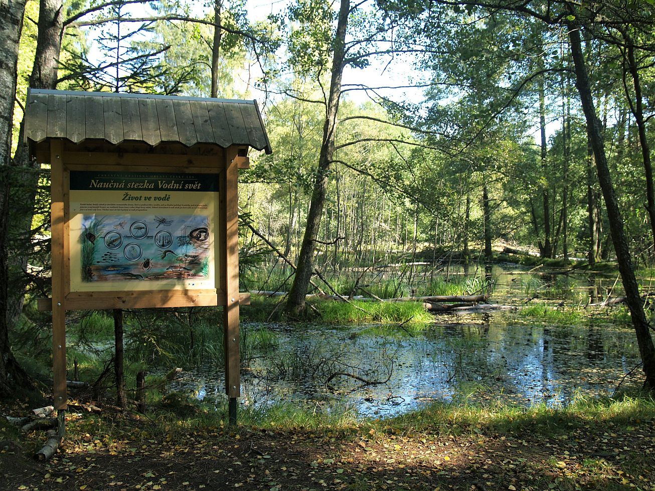 Český les - tůň.