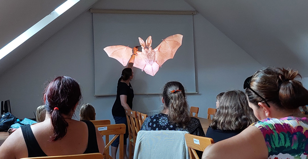 Netopýří noc začala přednáškou, která účastníky seznámila se světem netopýrů.