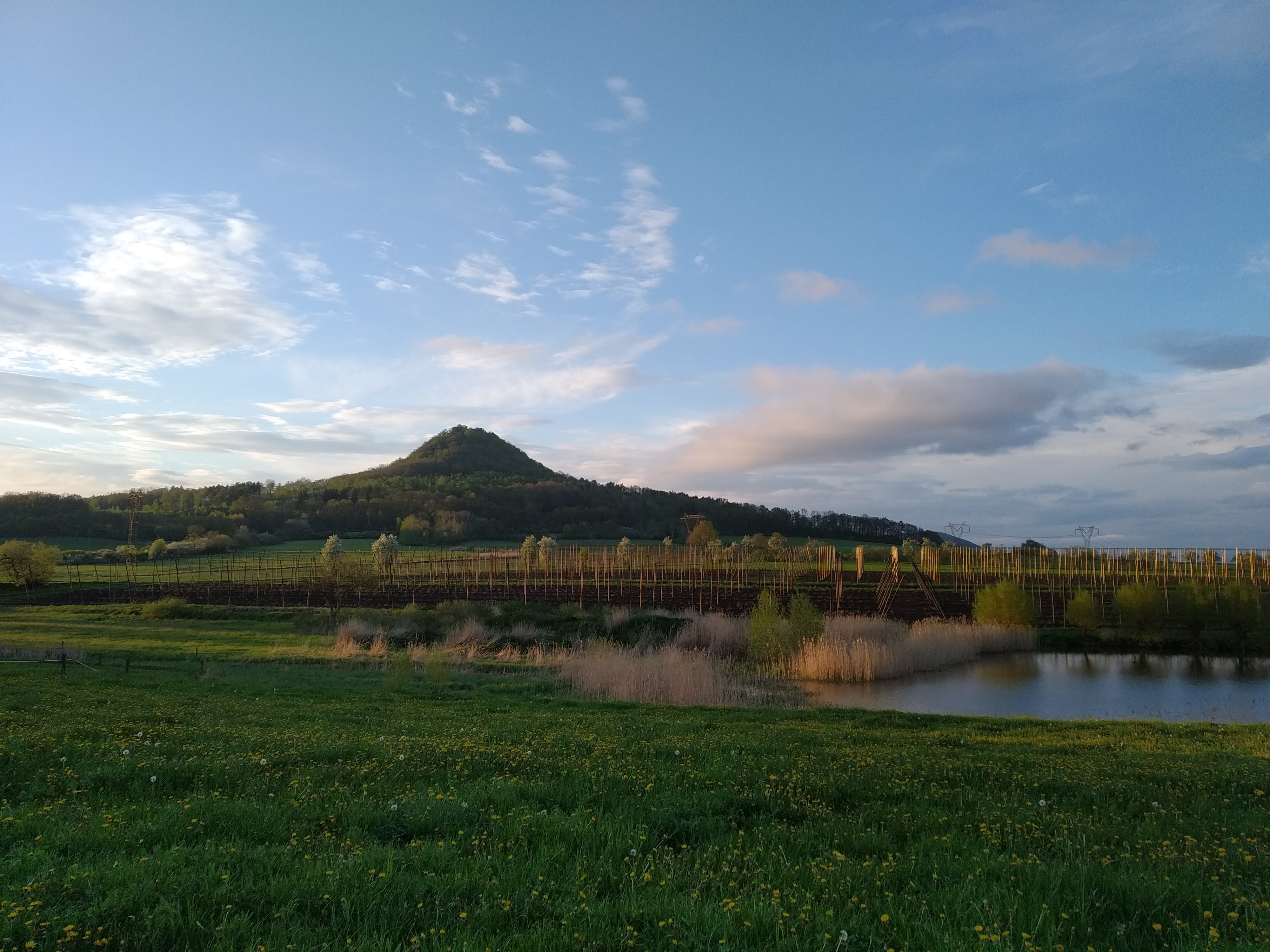 Krajina Ronova.