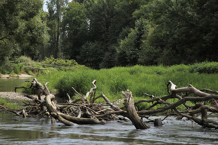 Charakteristika Litovelského Pomoraví