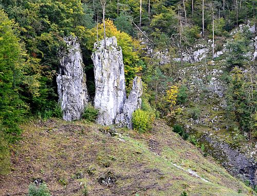 Tři hřebenáče - otec, matka a syn v CHKO Moravský kras.