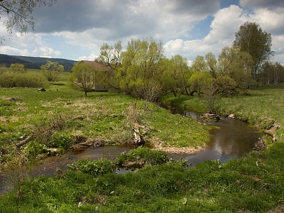 Divoká Orlice na státní hranici s Polskem.