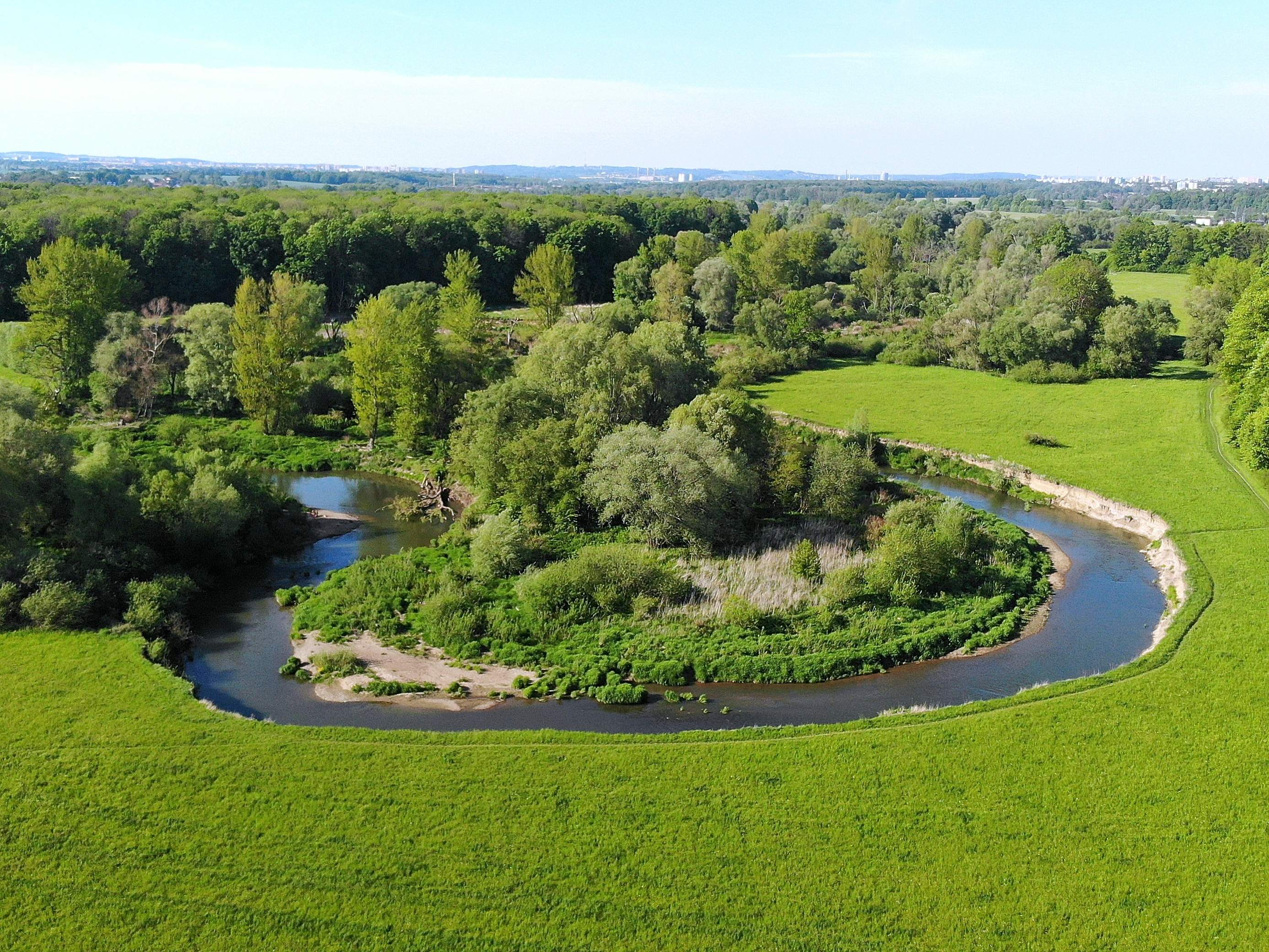 Meandr nespoutané řeky Odry