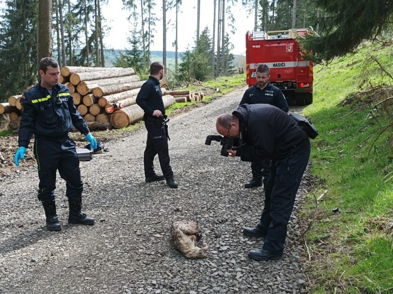 Případ zabitého orla mořského si převzala kriminální policie. Foto: Pavla Tájková