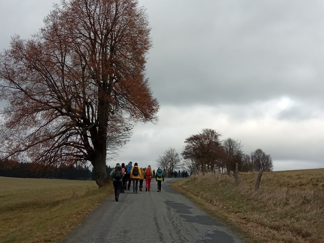 Napříč Slavkovským lesem 17. listopadu. Foto:  J. Rolková.