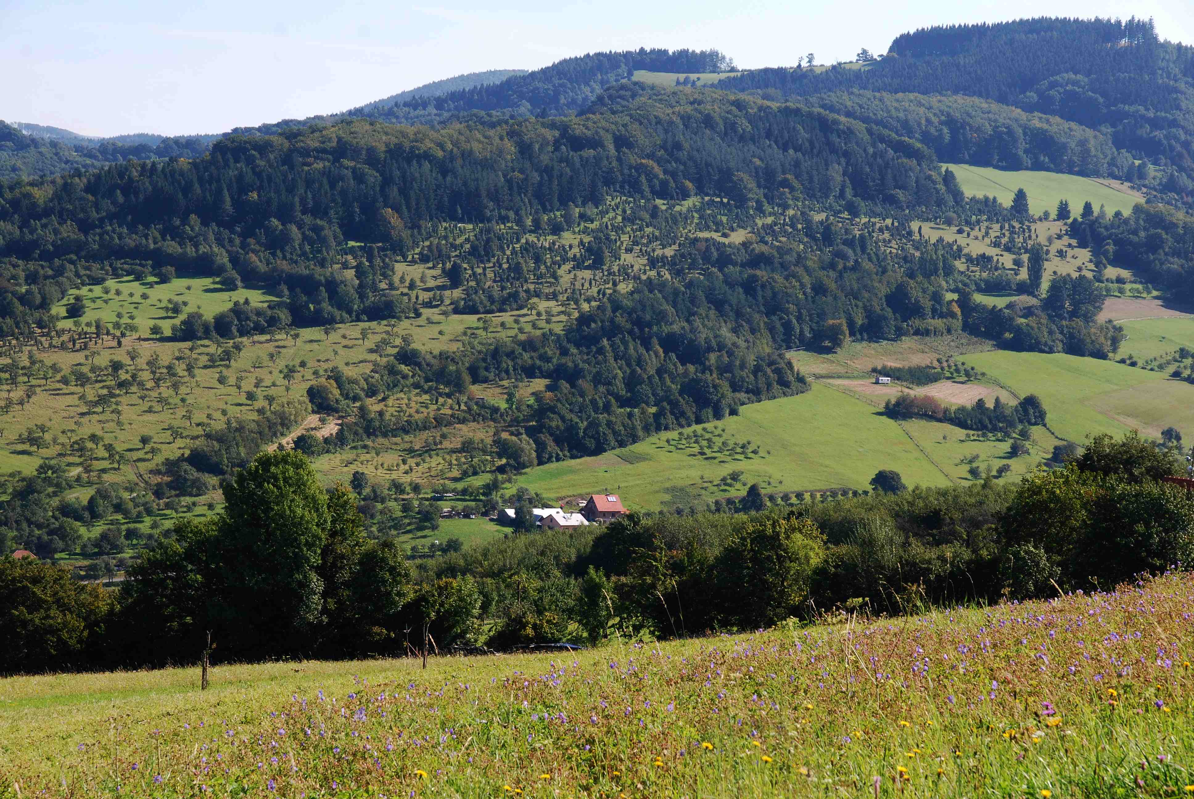 Nedašovsko z výšky.